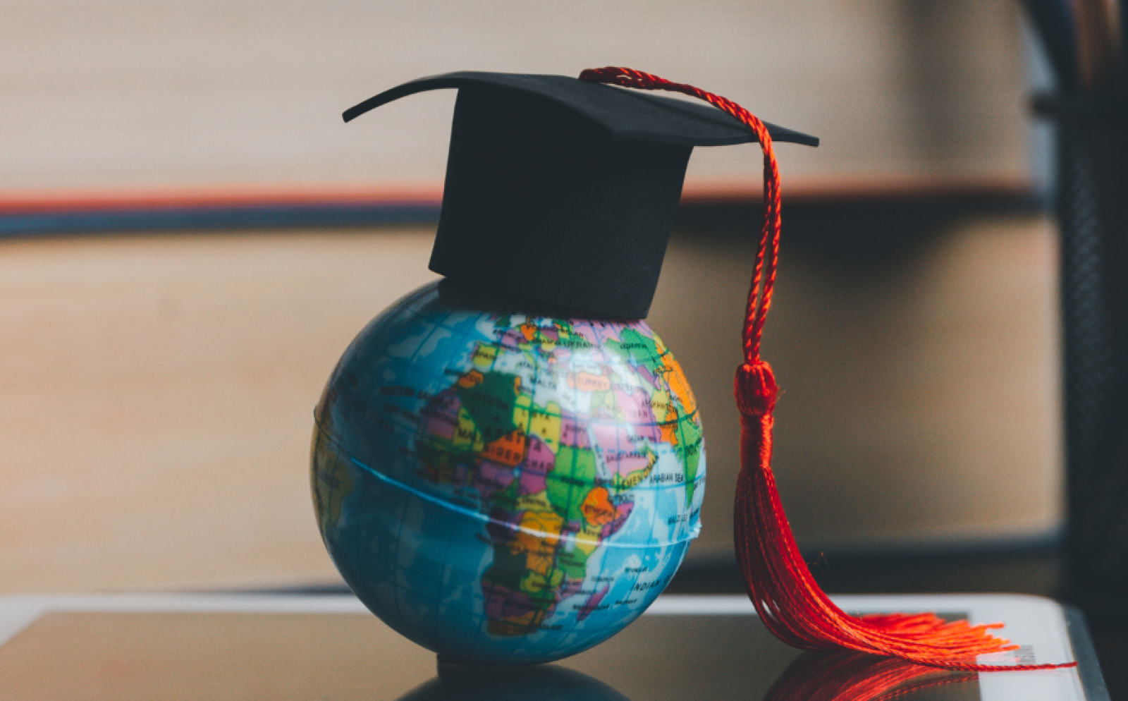 Study Abroad